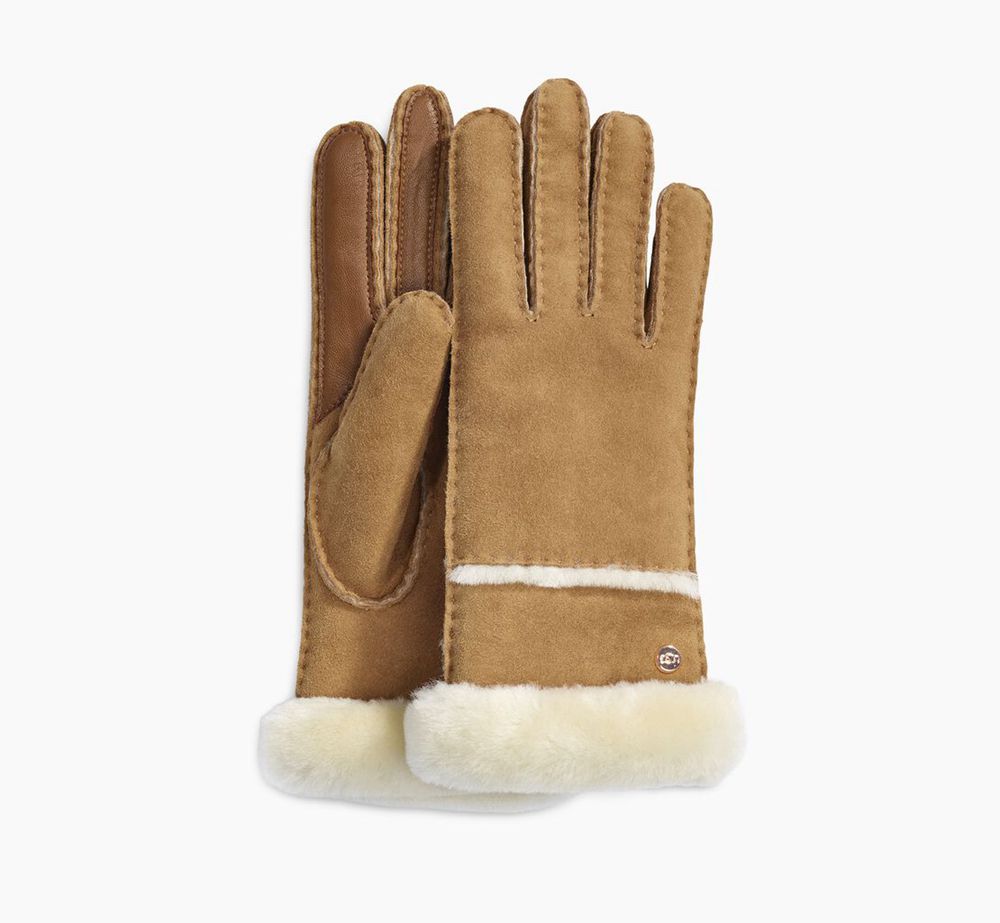 Ugg Gloves Canada - Ugg Women's Seamed Tech Brown